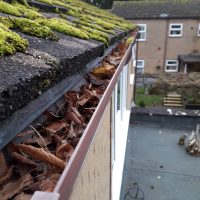 Gutter Cleaning - Before