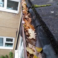 Gutter Cleaning - Before