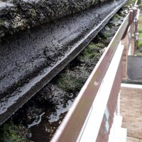 Gutter Cleaning - Before