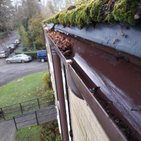 Gutter Cleaning - In Progress